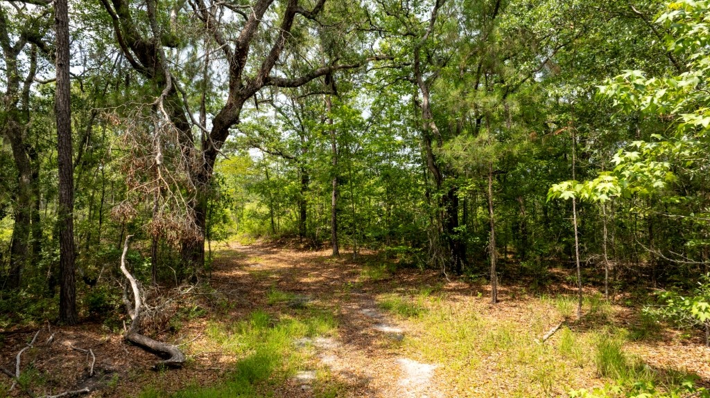 Habersham Pines Photo