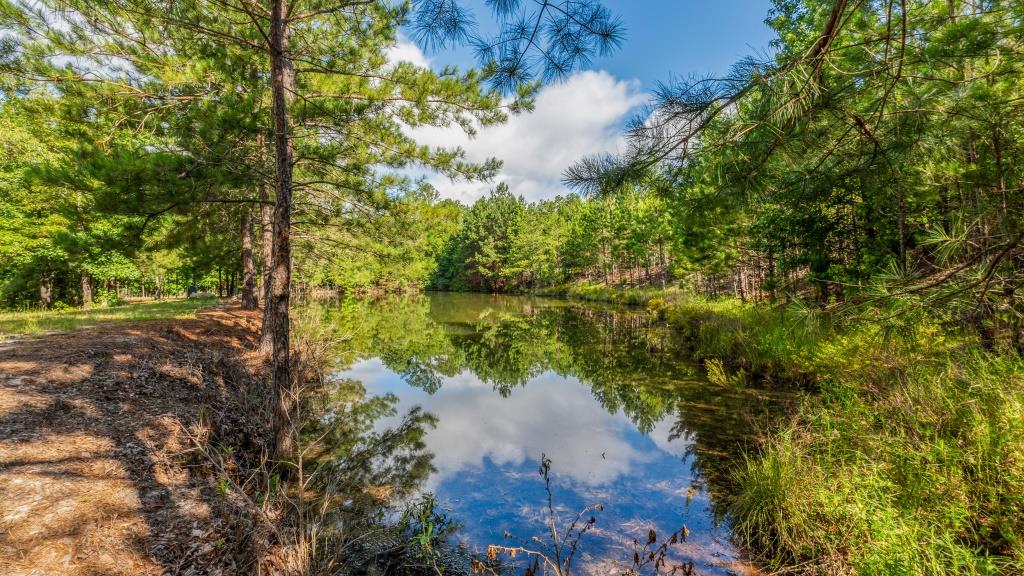 Hunt Walk Plantation Photo