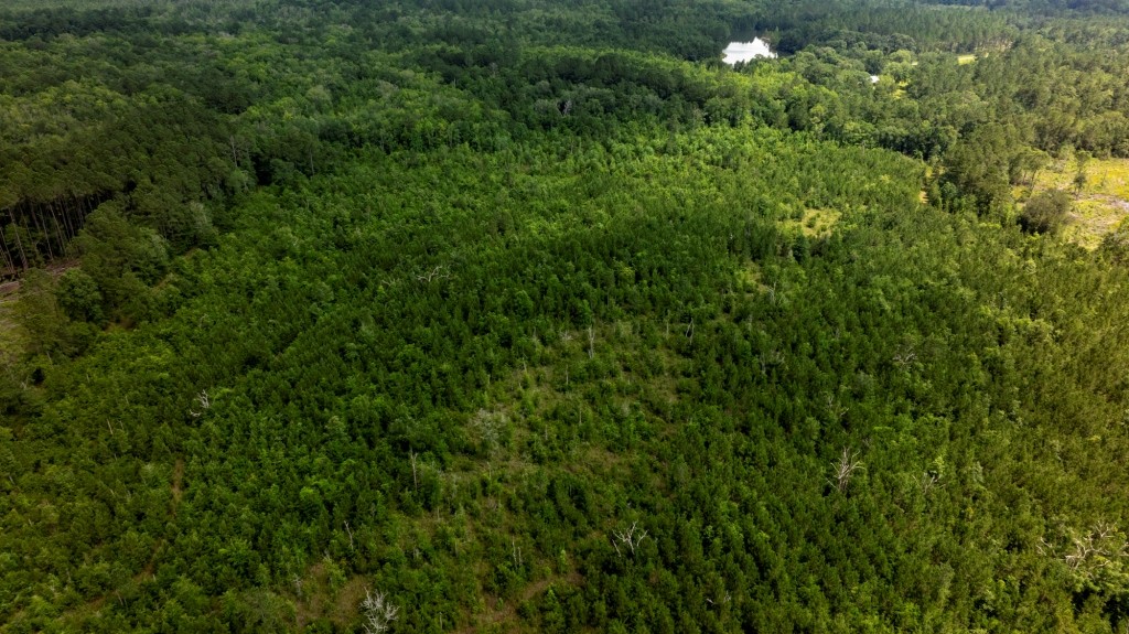 Habersham Pines Photo