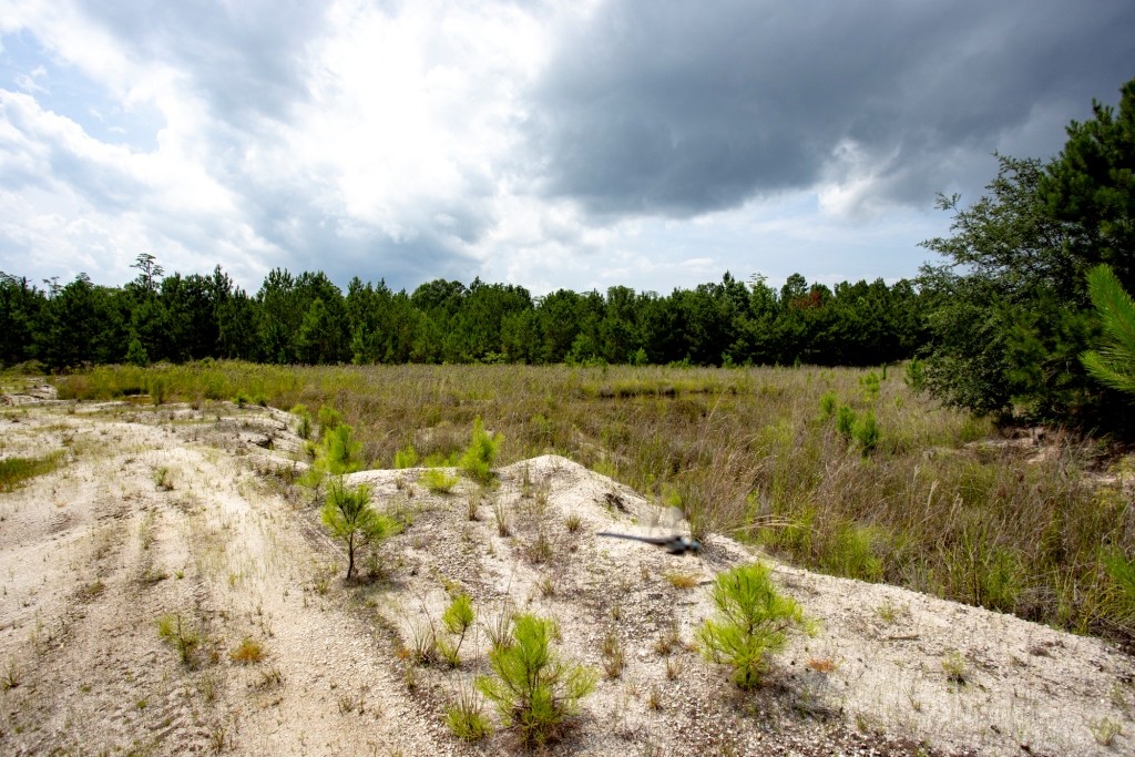 Habersham Pines Photo