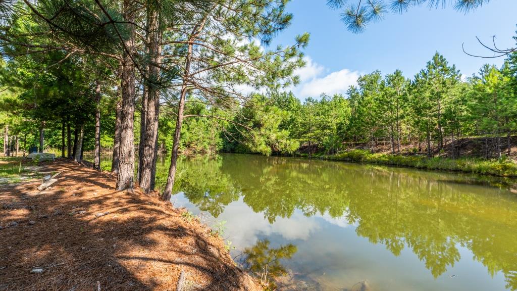 Hunt Walk Plantation Photo