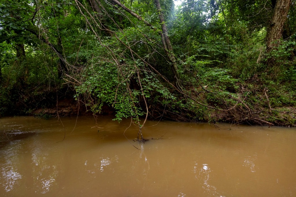 Ulcohatchee Creek Photo