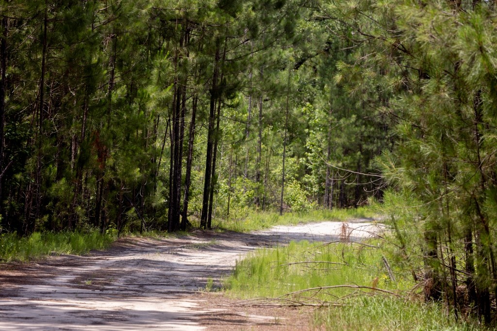 Habersham Pines Photo