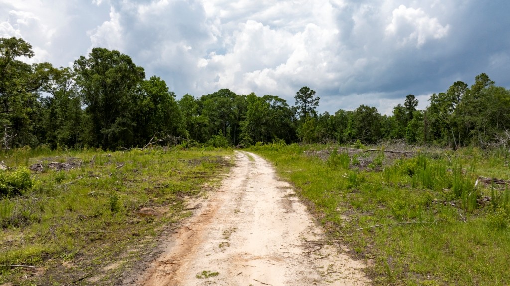Habersham Pines Photo