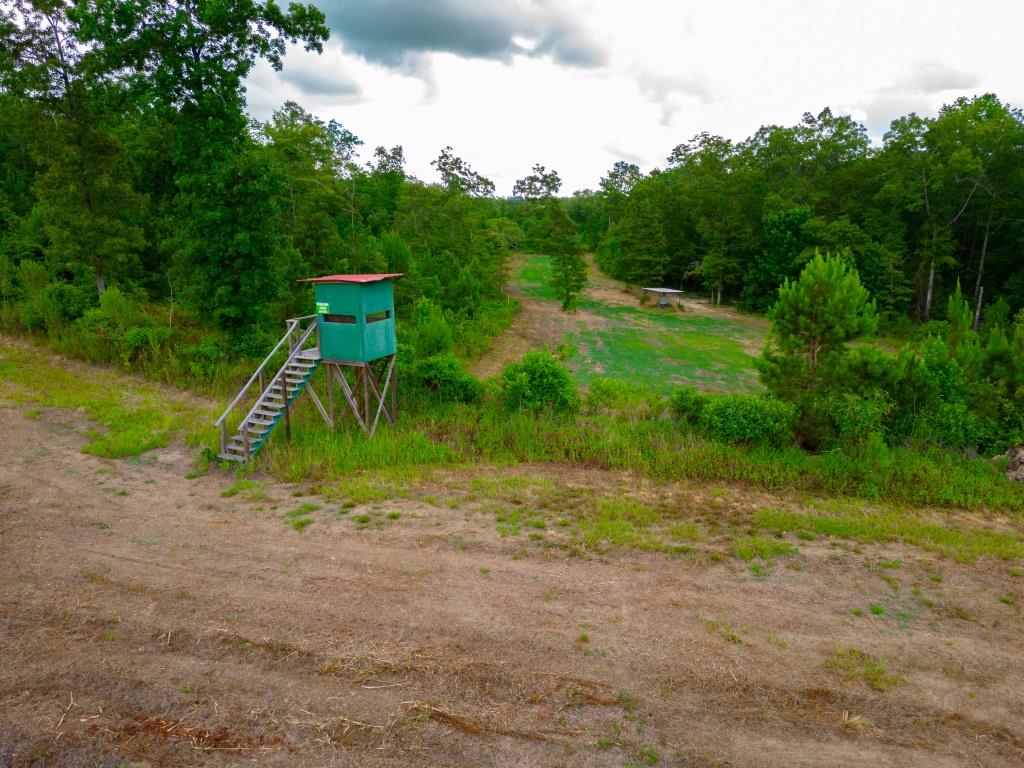 Hunt Walk Plantation Photo