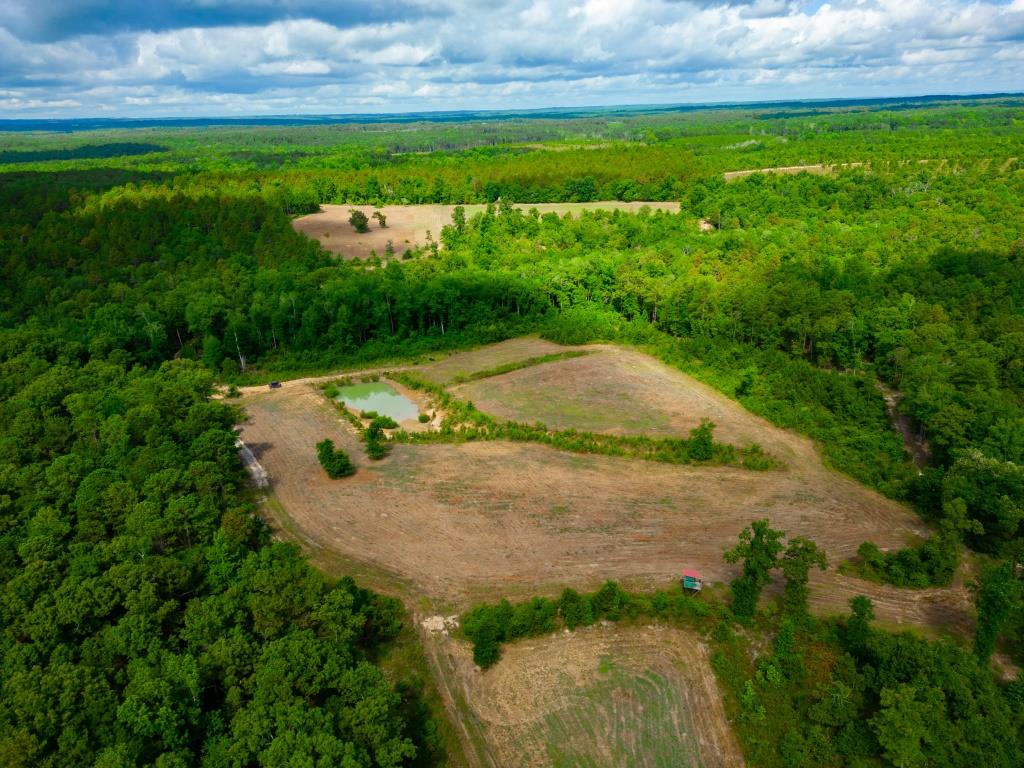 Hunt Walk Plantation Photo