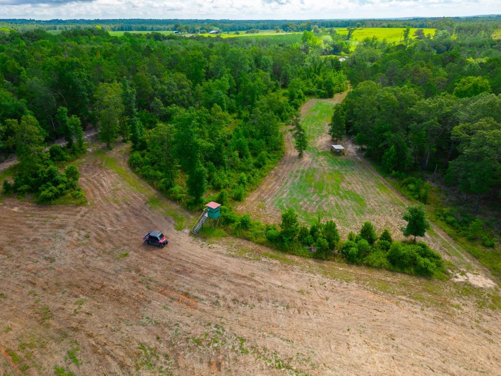 Hunt Walk Plantation Photo