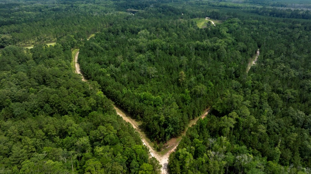 Habersham Pines Photo