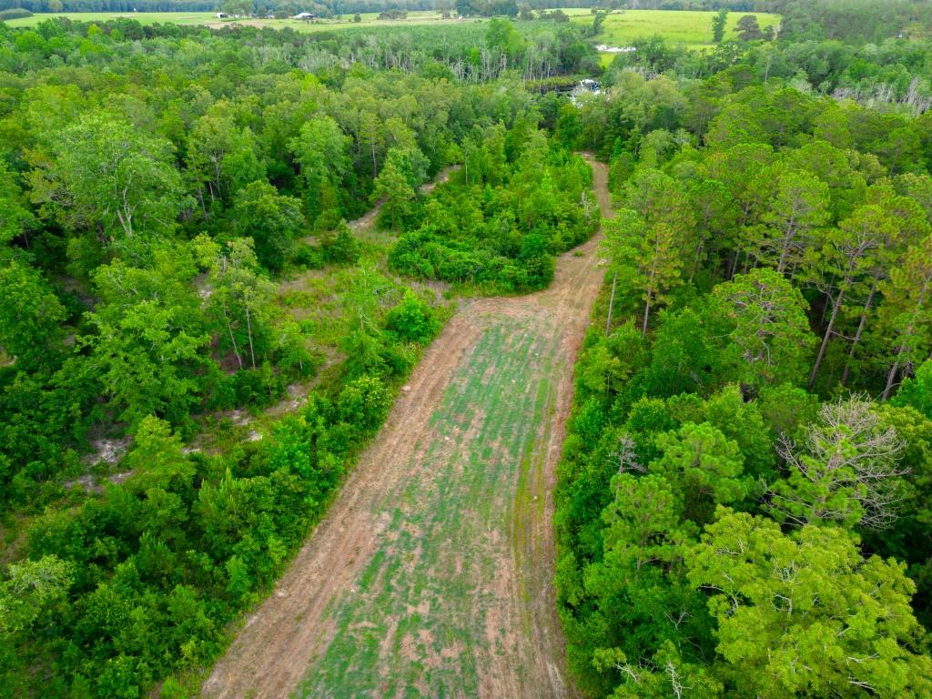 Hunt Walk Plantation Photo