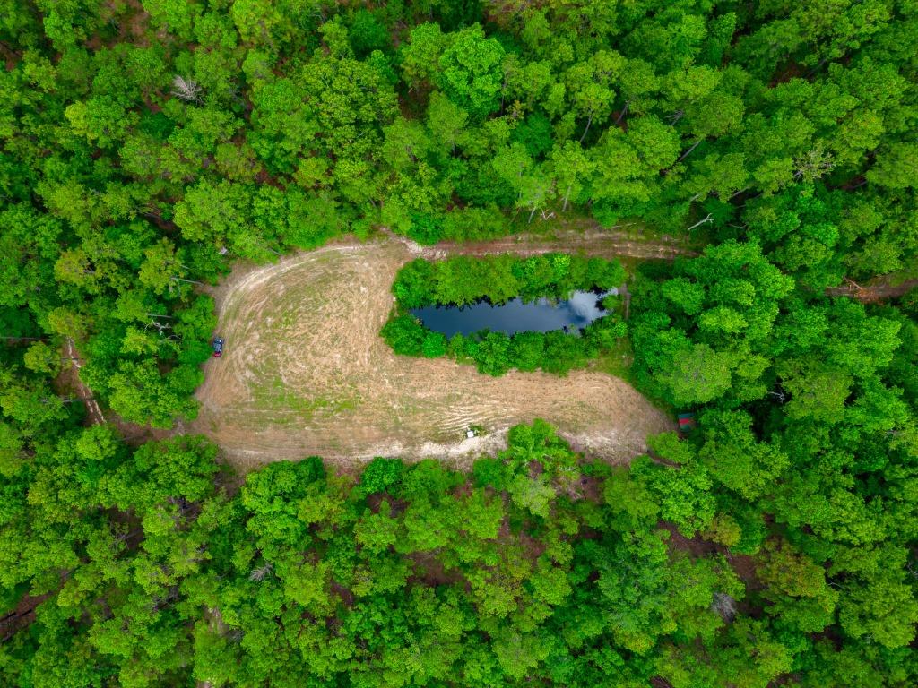 Hunt Walk Plantation Photo
