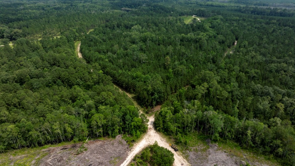 Habersham Pines Photo