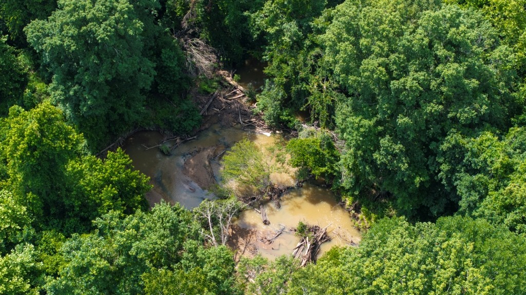 Ulcohatchee Creek Photo