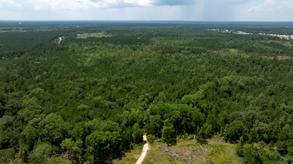 Habersham Pines Photo