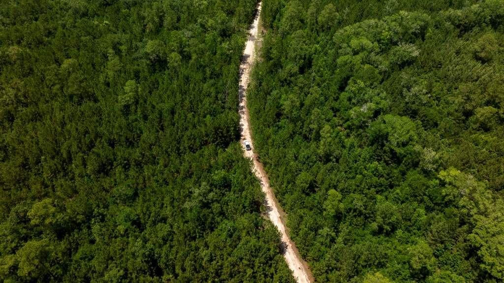 Habersham Pines Photo