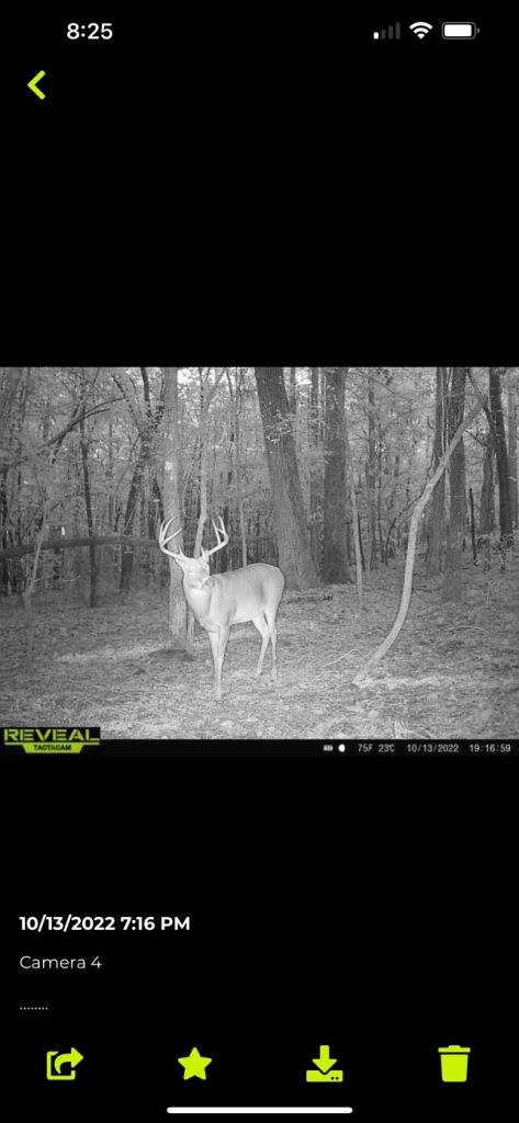 Hunt Walk Plantation Photo