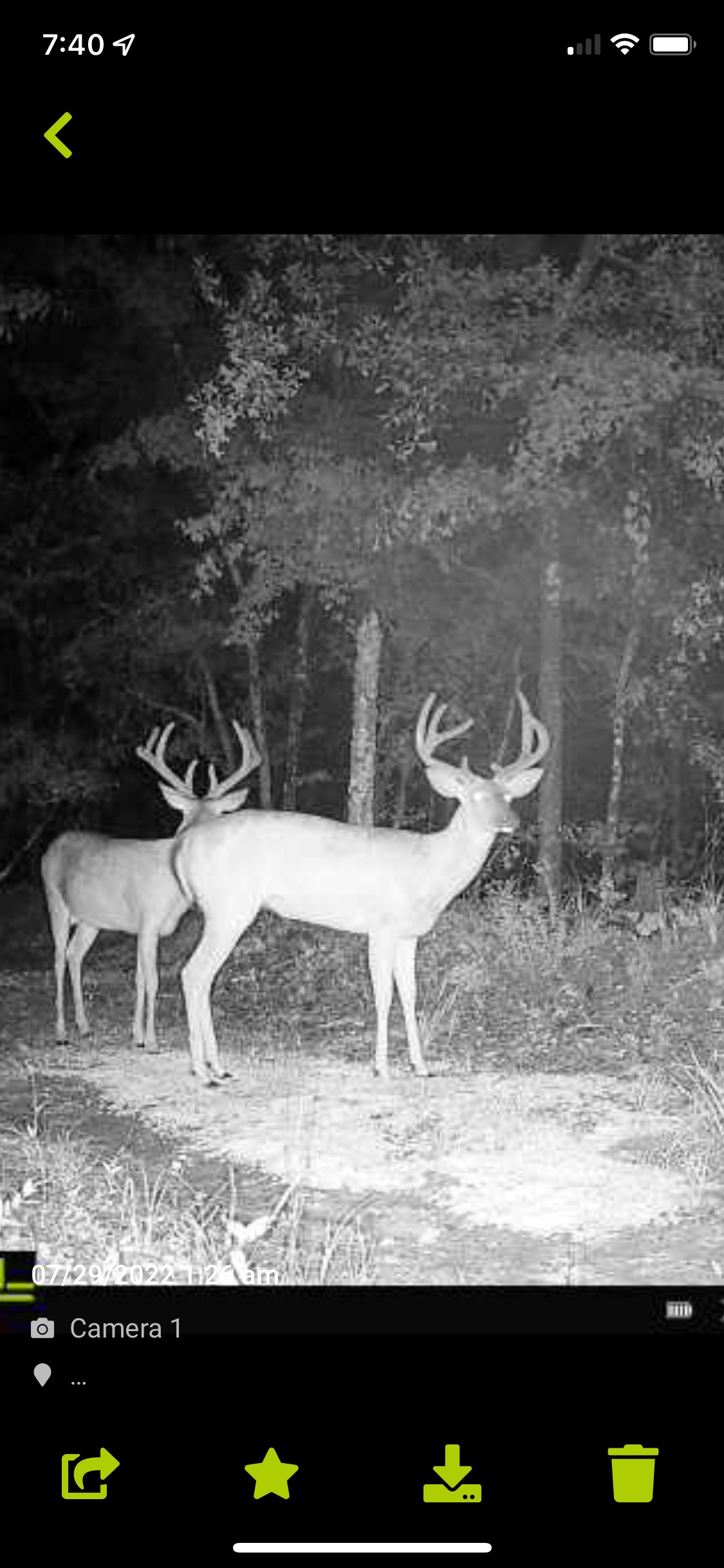 Hunt Walk Plantation Photo