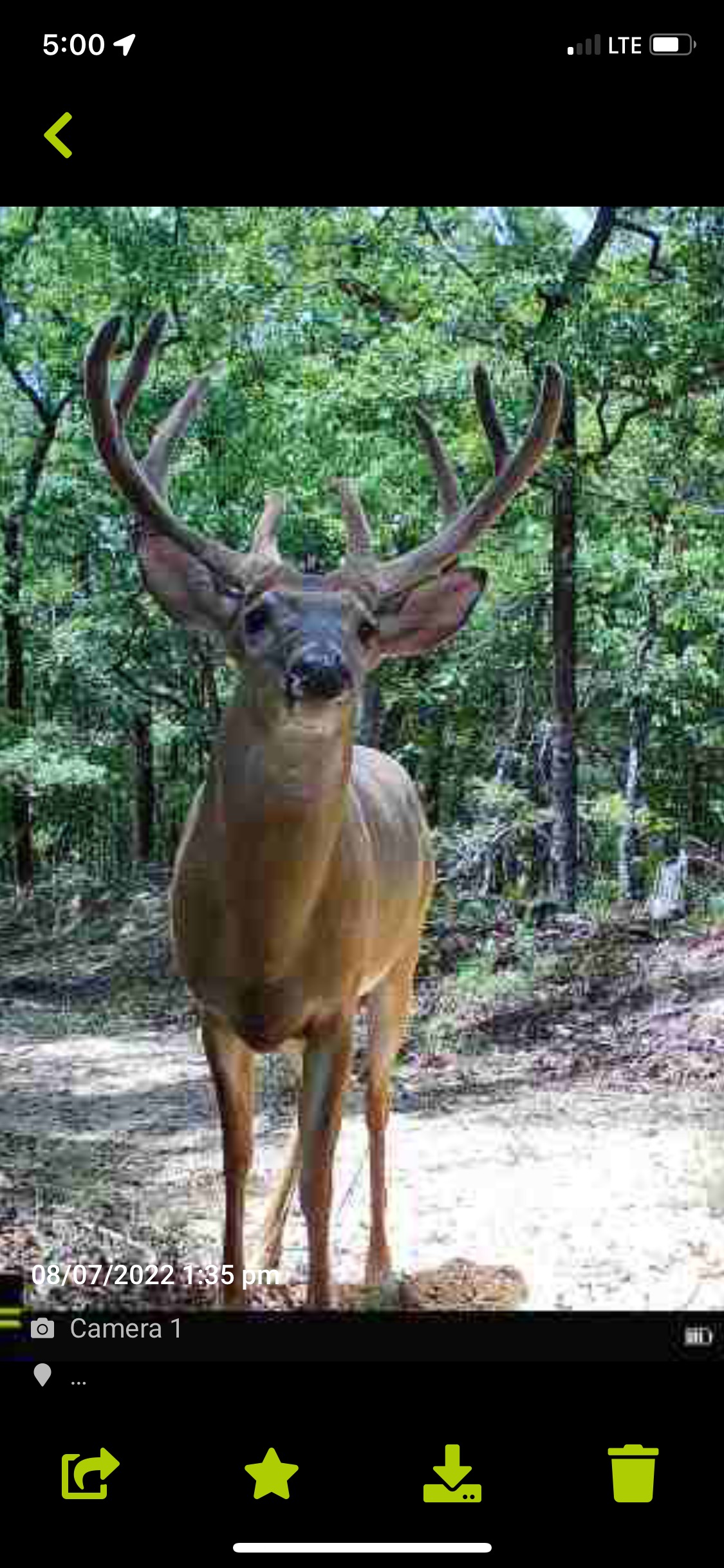 Hunt Walk Plantation Photo