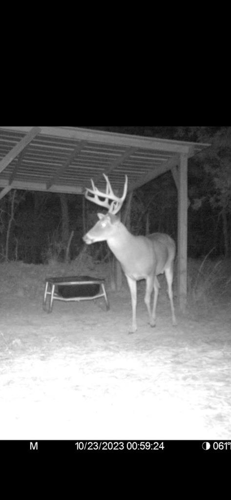 Hunt Walk Plantation Photo