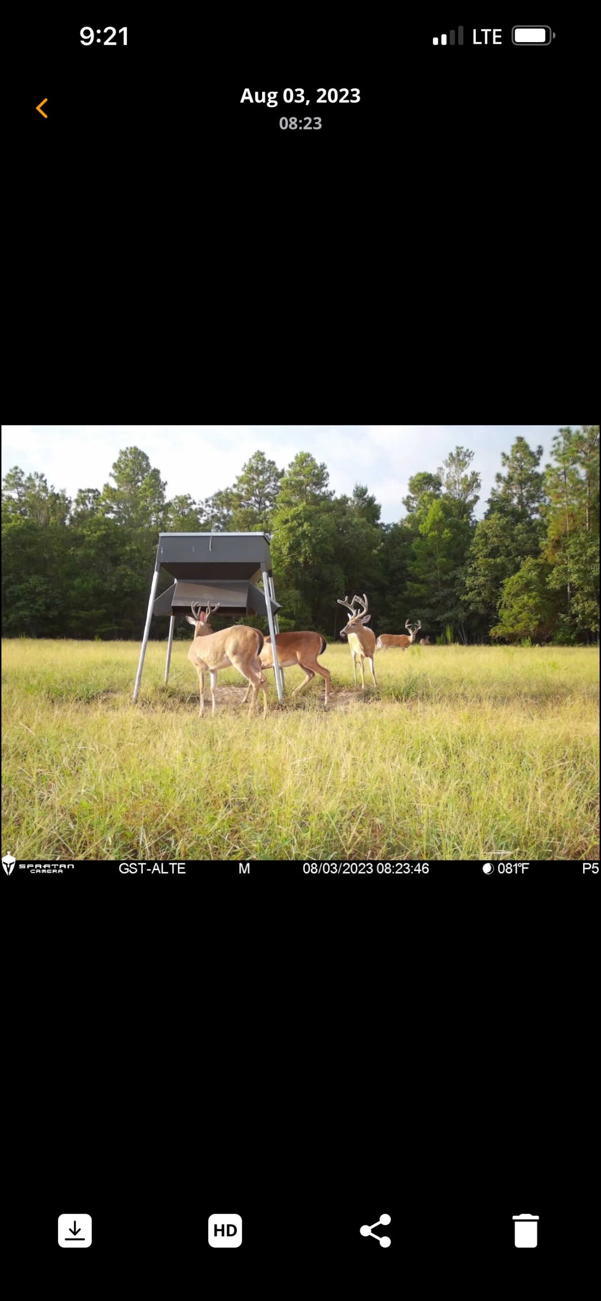 Hunt Walk Plantation Photo