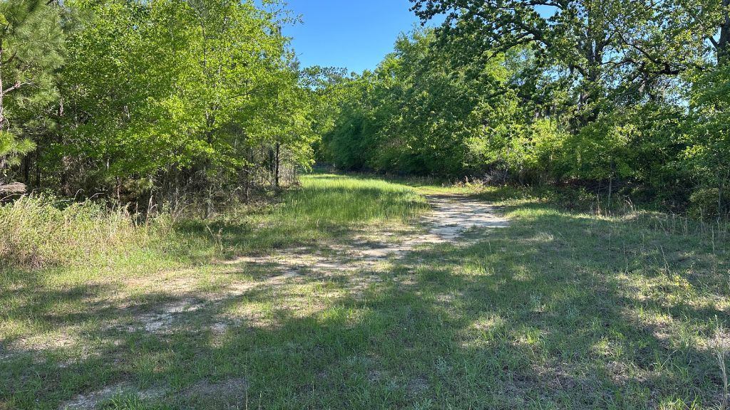 Oak Grove Photo
