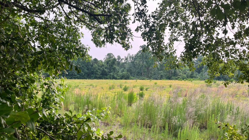 Bull Branch Road Photo