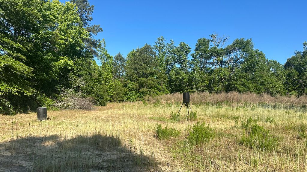 Bull Branch Road Photo