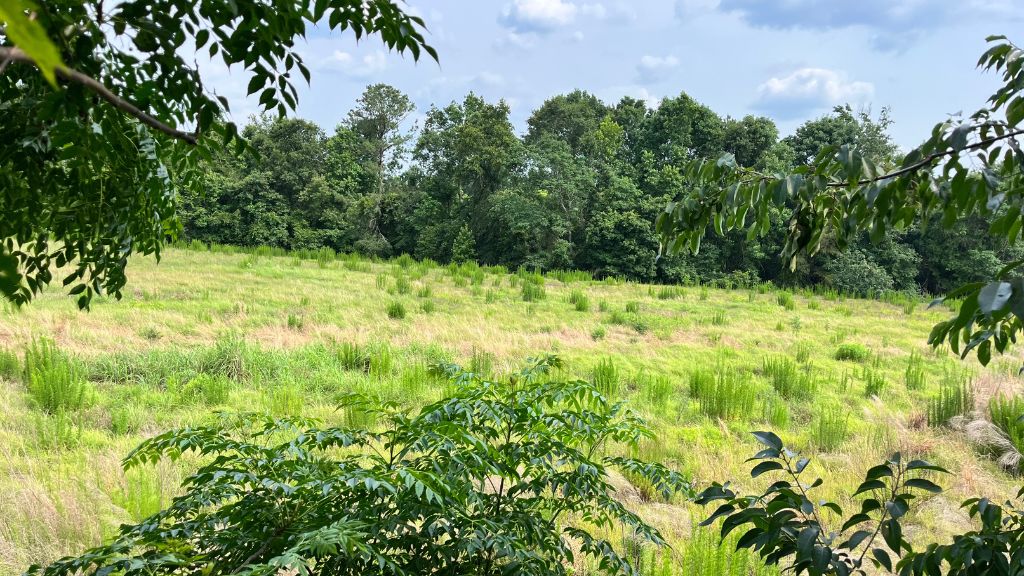 Bull Branch Road Photo