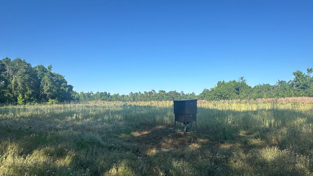 Bull Branch Road Photo