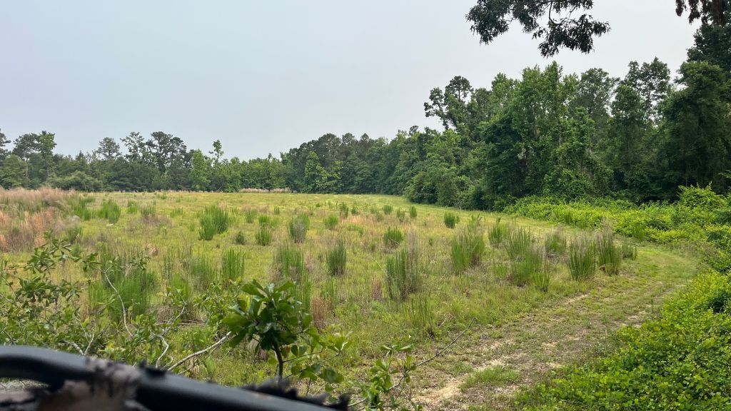 Bull Branch Road Photo