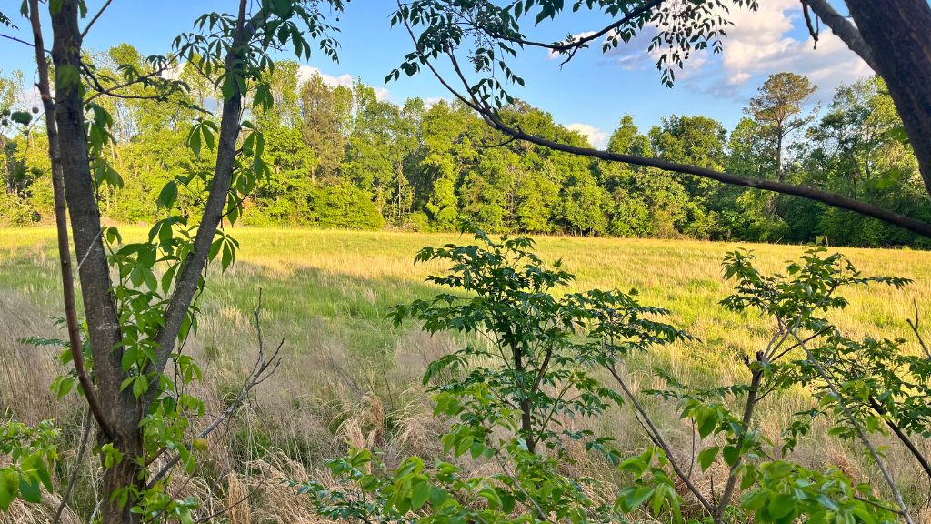 Bull Branch Road Photo