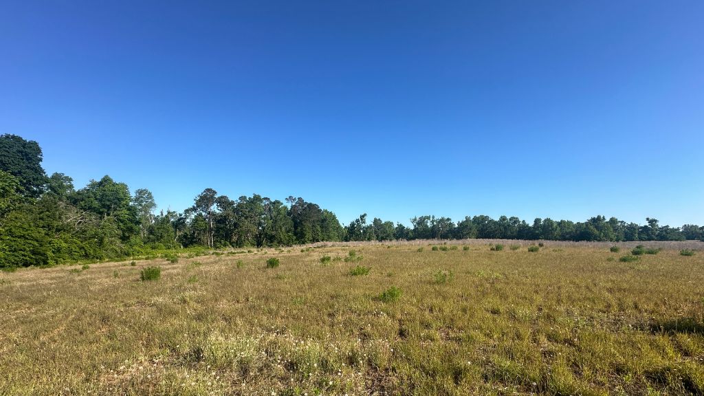 Bull Branch Road Photo