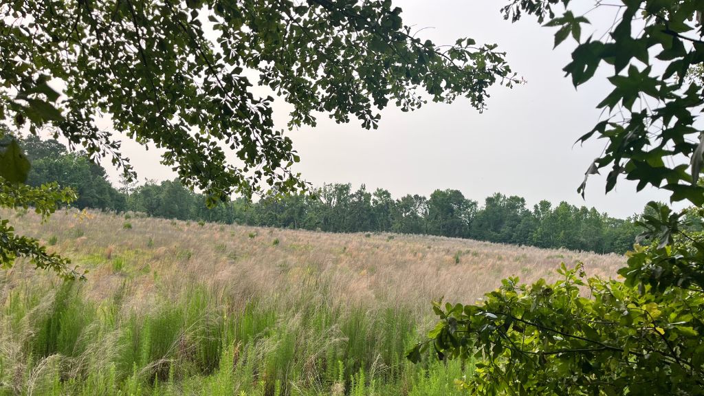 Bull Branch Road Photo