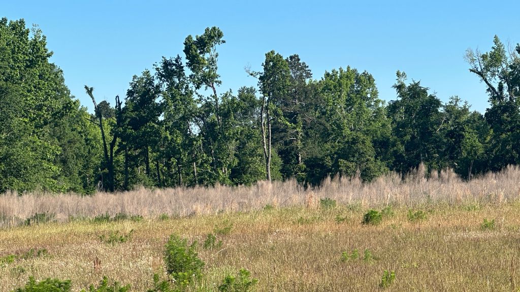 Bull Branch Road Photo