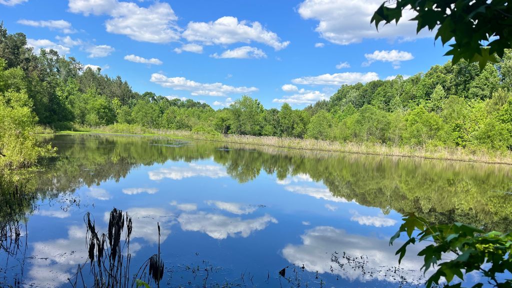 Bull Branch Road Photo