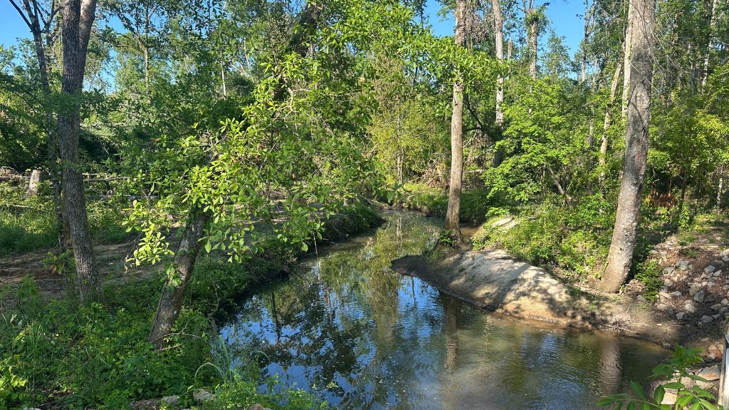 Bull Branch Road Photo