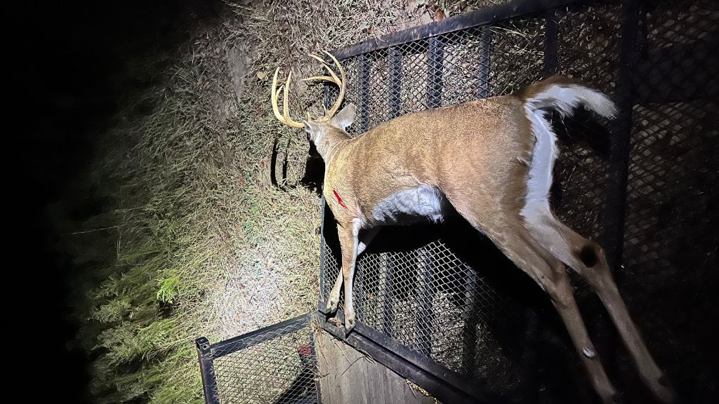 Bull Branch Road Photo