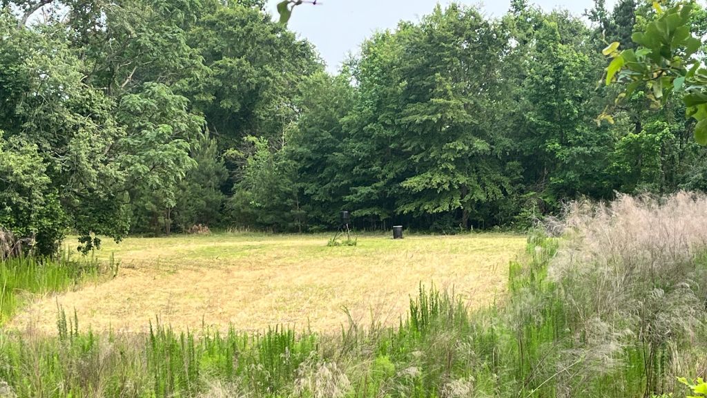Bull Branch Road Photo