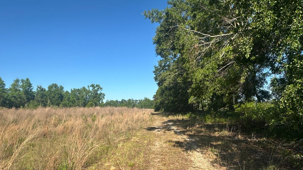 Bull Branch Road Photo