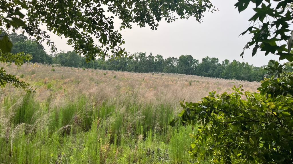 Bull Branch Road Photo
