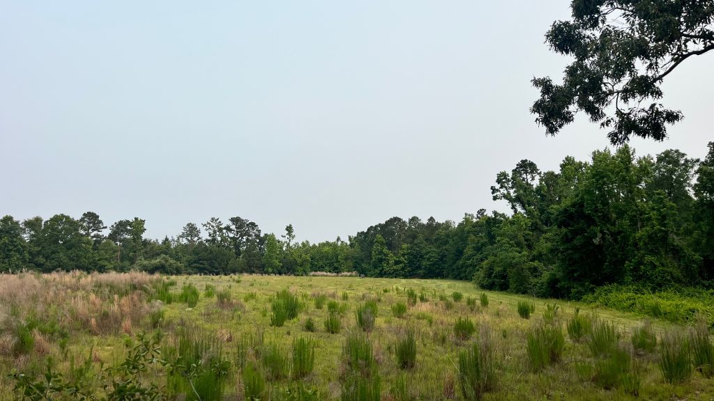 Bull Branch Road Photo
