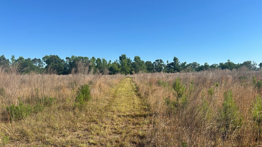 Bull Branch Road Photo