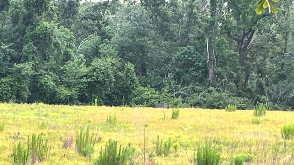 Bull Branch Road Photo