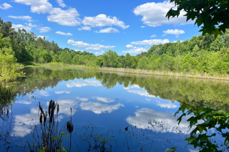 Bull Branch Road