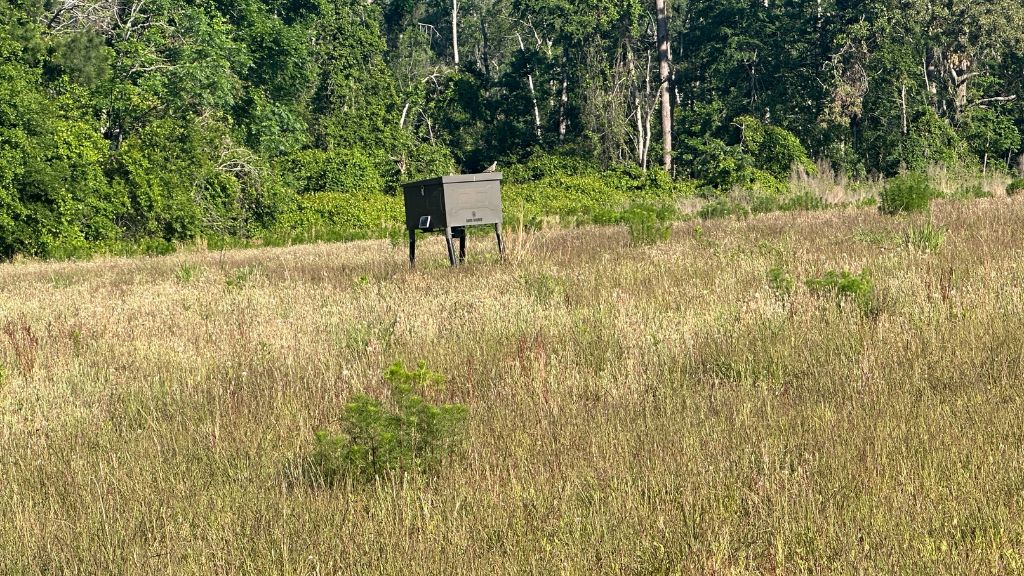 Bull Branch Road Photo