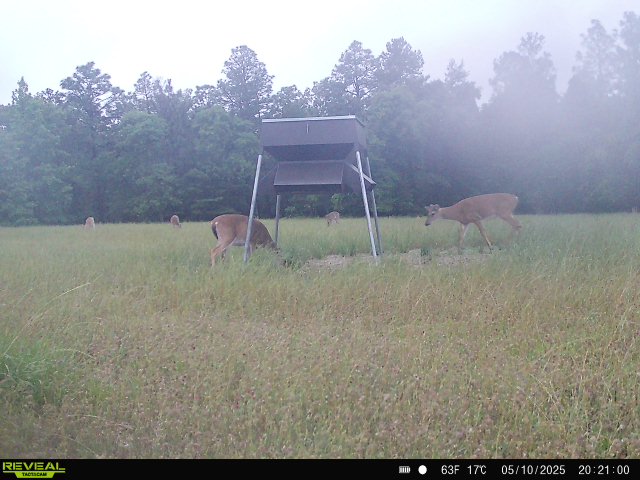 Hunt Walk Plantation Photo