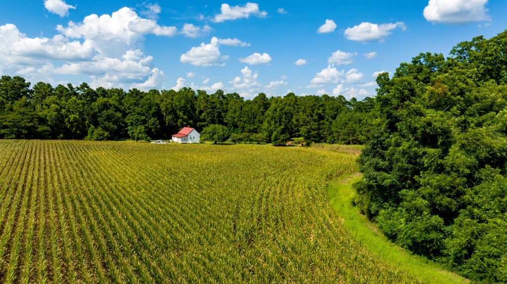Sugar Creek Mini Farm Photo