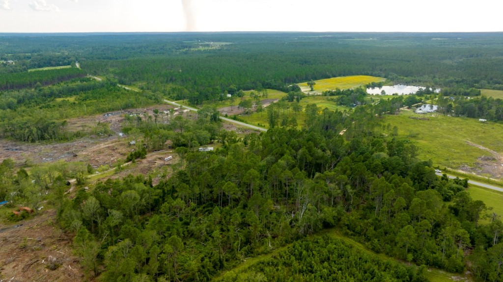 Telfair Pines Photo