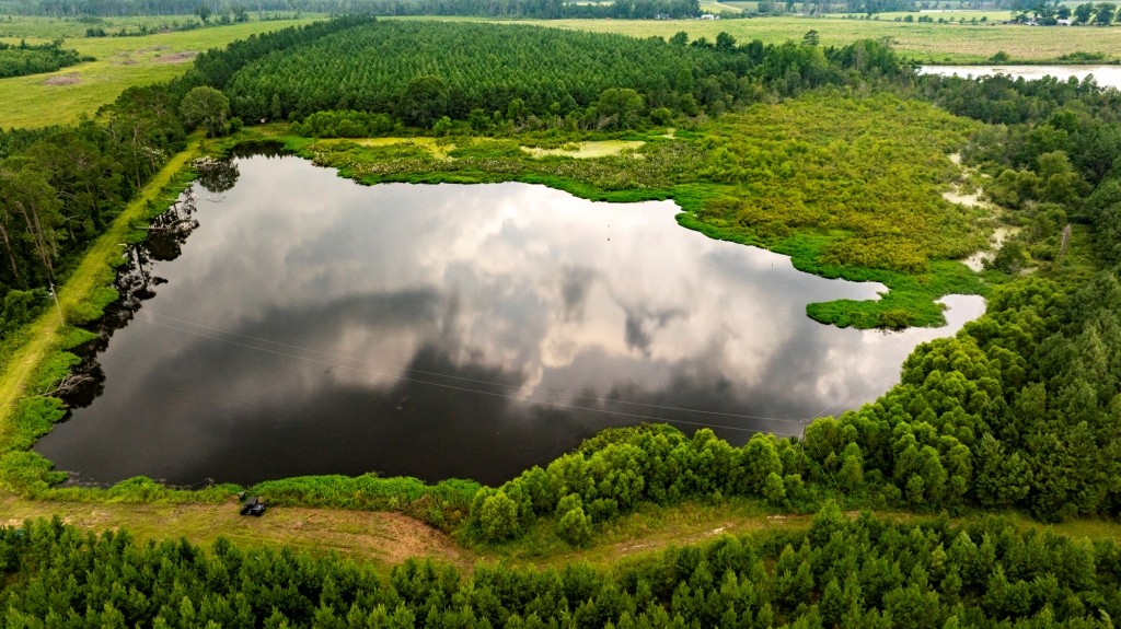 Canoochee Pond Photo