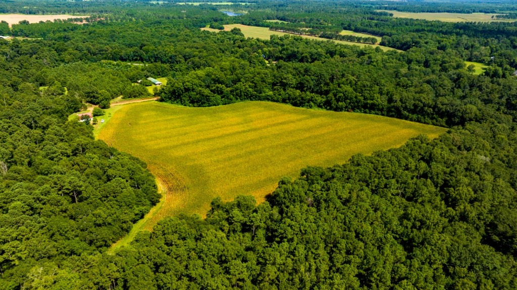 Sugar Creek Mini Farm Photo