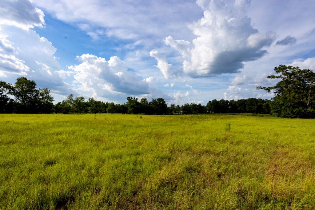 Big Horse Creek Homeplace Photo